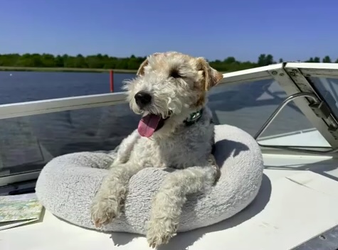 S Club star Jo O’Meara helps reunite a couple with their lost dog Snoopy, who miraculously returned home after three days. The emotional reunion followed a social media campaign.