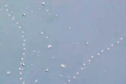 Viral clip captures a mesmerizing chain of jelly salps swimming in perfect formation off Cornwall's coast. These jelly-like creatures amazed viewers with their coordinated dance.