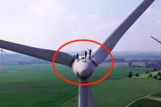 Urban explorer Mattis stuns fans by scaling a 120-meter wind turbine, capturing breathtaking views and thrilling moments in a viral video that's left social media buzzing.