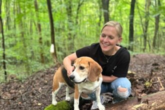 Dog trainer Jemma Milne shares a £1.45 frozen pea hack to keep pets cool during heatwaves. Discover her simple tips for keeping dogs hydrated and entertained in hot weather.