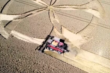 A farmer in Dorset reports £2,000 crop damage from a mysterious five-spoked wheel pattern, suspected to be made by aliens, prompting a police investigation.