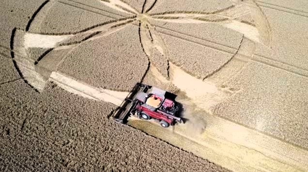 A farmer in Dorset reports £2,000 crop damage from a mysterious five-spoked wheel pattern, suspected to be made by aliens, prompting a police investigation.