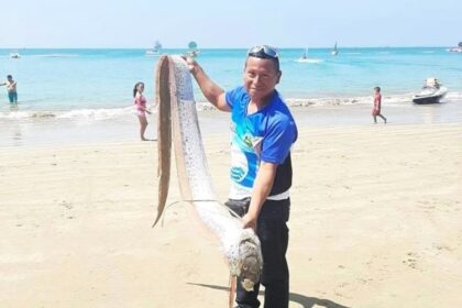 A rare three-metre-long oarfish washed up on a tourist beach in Salinas, Ecuador, sparking earthquake fears among locals. This deep-sea giant is often seen as a harbinger of natural disasters in Japanese mythology.