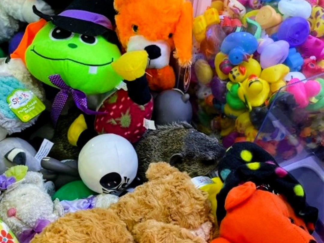 Mini golf staff were shocked to find a groundhog in a claw machine. After a rescue, the story went viral, with social media users charmed by the unexpected "prize."