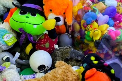 Mini golf staff were shocked to find a groundhog in a claw machine. After a rescue, the story went viral, with social media users charmed by the unexpected "prize."