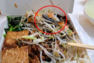 A woman discovers a dead gecko in her takeaway from a Kaohsiung City restaurant. Authorities investigate hygiene violations after her shocking find sparks outrage.