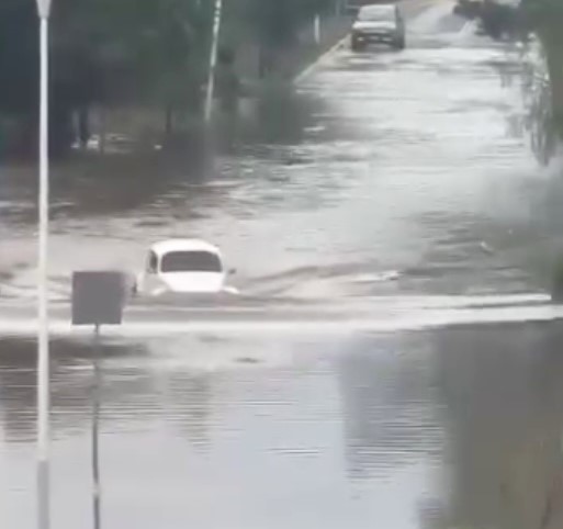 A VW Beetle impressively drives through a flooded street in Mexico, earning online praise as a "formidable amphibian" for its sturdy performance in the deluge.