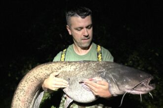 Lifelong angler Karol Vapno landed a massive 6ft, 135lb catfish on his 42nd birthday at St John's Lake, Oxfordshire, marking the catch of a lifetime after a 40-minute battle.