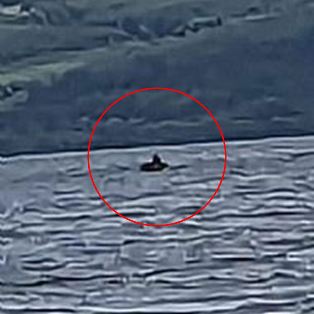 Underwater detectors in Loch Ness pick up a mysterious rhythmic pulse, sparking excitement and speculation about the legendary monster. Experts are eager to investigate further.