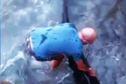 Hero beachgoer Nando saves a dolphin trapped against jagged rocks in Cozze, Italy, on August 3. The viral rescue video shows the dolphin swimming to safety amid cheers.