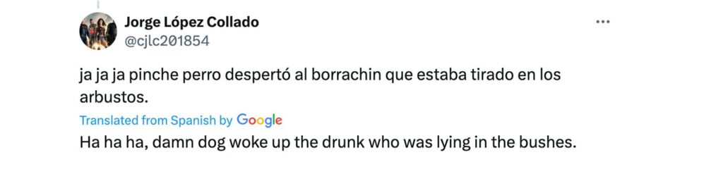 Social media comment on the post of Viral footage from Chile shows a dog seemingly 'shape-shifting' into a man, sparking debate online over whether it's a mystical nagual or just a cleverly captured illusion.