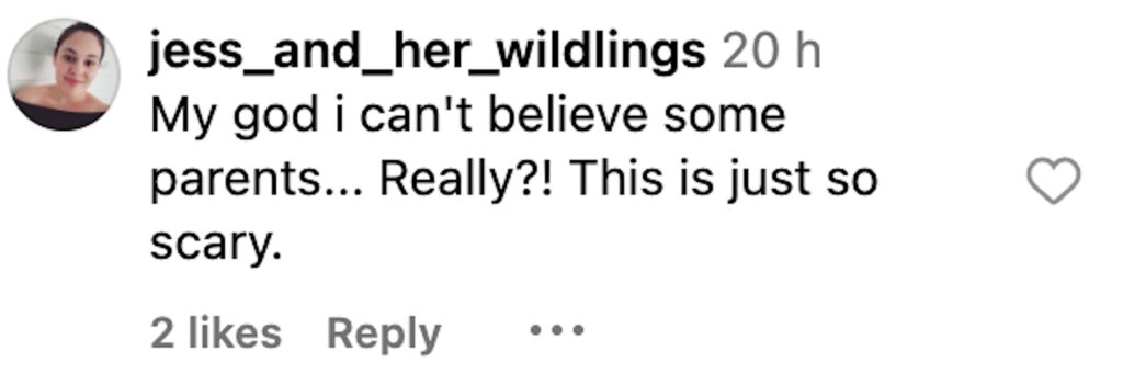 Social media comment on the post of A shocking video shows a family fishing dangerously close to 10 crocodiles at Cahill’s Crossing, sparking outrage and calls for fines due to the life-threatening risk.