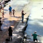 A shocking video shows a family fishing dangerously close to 10 crocodiles at Cahill’s Crossing, sparking outrage and calls for fines due to the life-threatening risk.