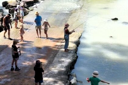 A shocking video shows a family fishing dangerously close to 10 crocodiles at Cahill’s Crossing, sparking outrage and calls for fines due to the life-threatening risk.