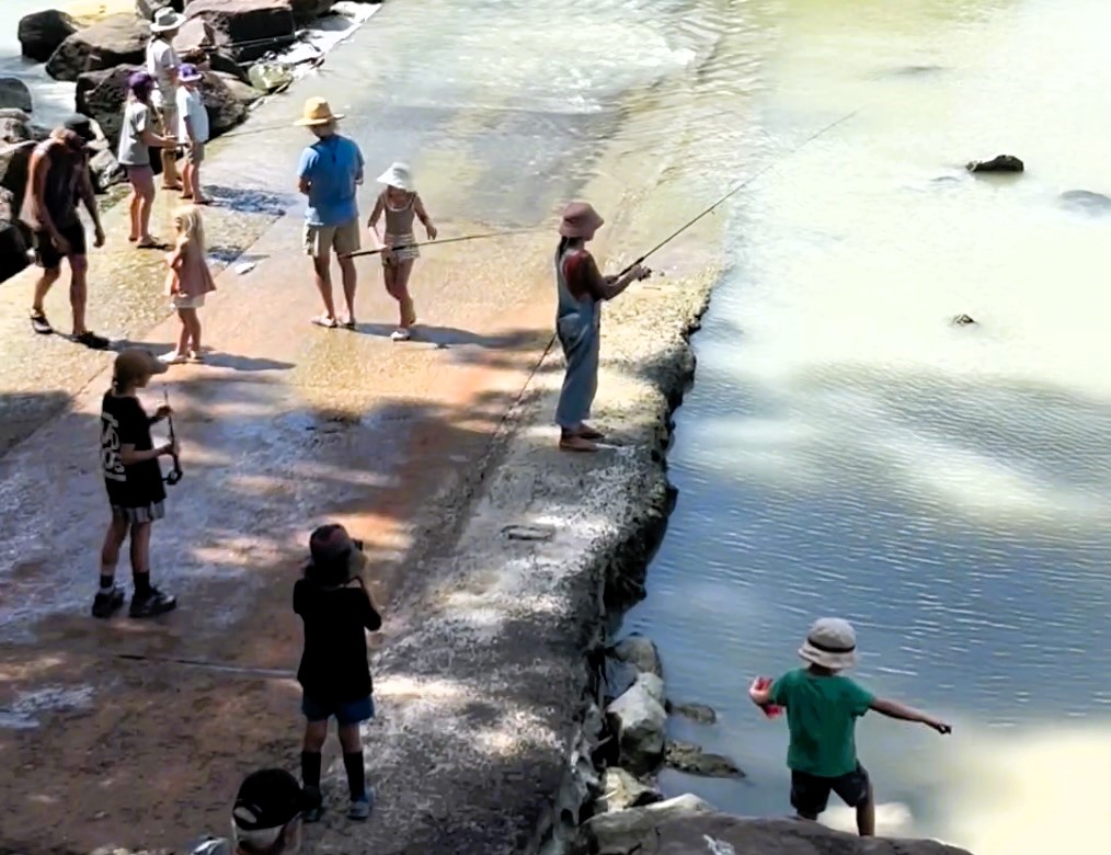 A shocking video shows a family fishing dangerously close to 10 crocodiles at Cahill’s Crossing, sparking outrage and calls for fines due to the life-threatening risk.