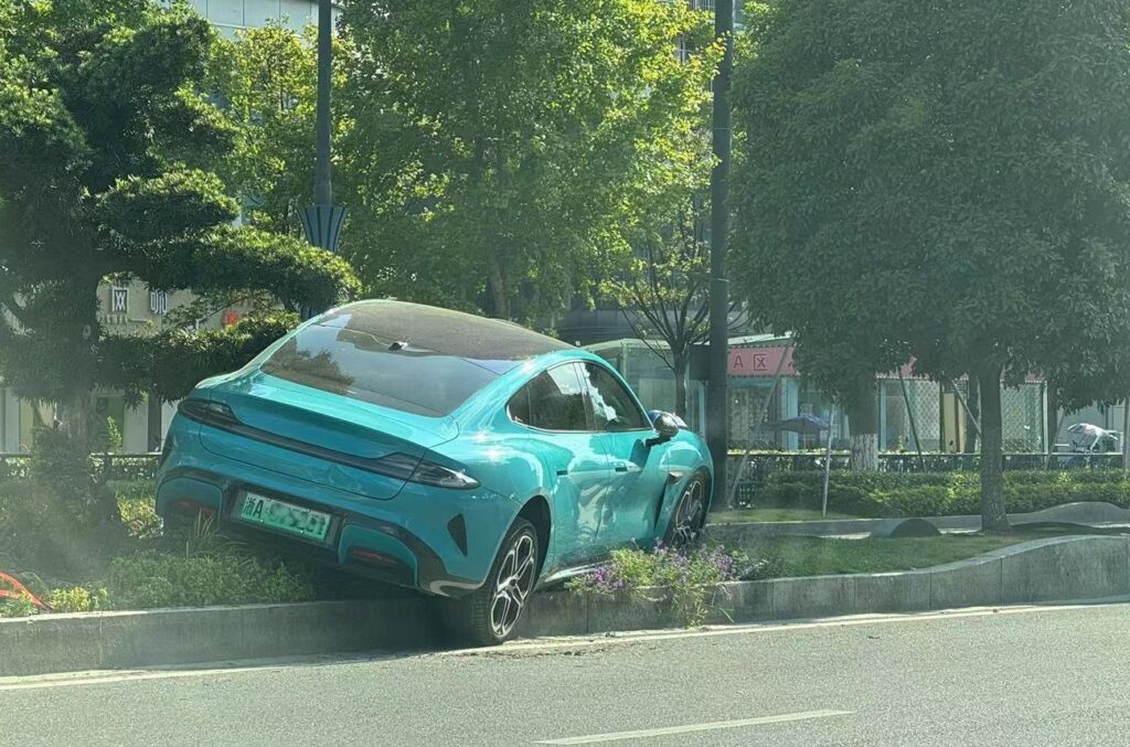 A woman took grinning selfies beside her crashed electric car after losing control and flattening a flowerbed, sparking debate online over her surprising reaction.