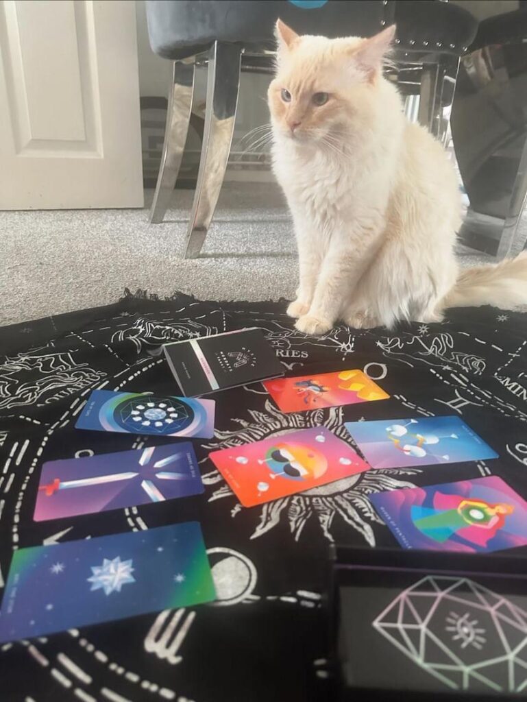 Psychic Sinem Salman reveals her unlikely assistant: a two-year-old ragdoll cat who helps with tarot readings, sensing clients' emotions and pointing to cards. A unique duo!