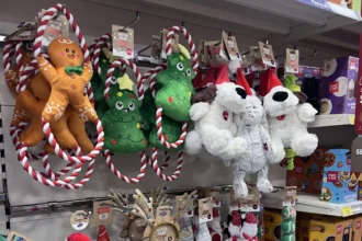 Christmas arrives early at B&M with festive treats, decor, and gifts on sale in September. Shoppers react to early Yuletide stock, while B&M says items are flying off shelves.