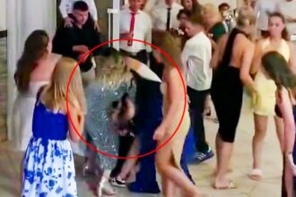 A wedding bouquet toss in Bosnia turned into a brawl as three women fought over the flowers, tumbling to the ground in a chaotic struggle that left guests stunned.