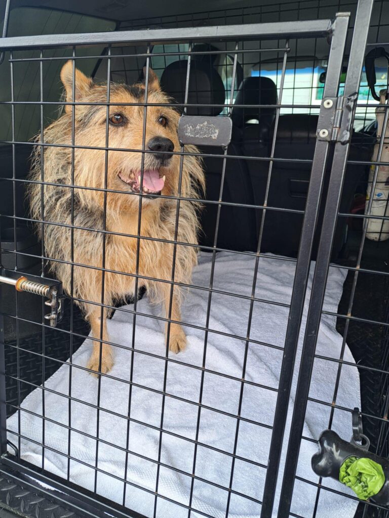 Animal lover Daniel Jordan rescues over 120 pets with his 24/7 pet ambulance service in West Yorkshire, offering life-saving care and support for distressed owners.