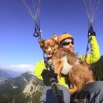 Daredevil puppy Chaya goes paragliding 5,000 feet above the Swiss Alps with owner Ludovic Gaillard. The adventurous mini Australian Shepherd is training for more high-flying adventures!