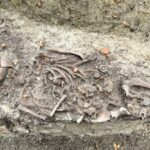 Creepy 13th-century remains of "demonic" children were discovered in an anti-vampire burial ground in Poland, with heads removed and bodies buried face down with stones on torsos.