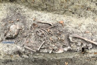 Creepy 13th-century remains of "demonic" children were discovered in an anti-vampire burial ground in Poland, with heads removed and bodies buried face down with stones on torsos.