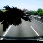 Trucker's windscreen shattered by flying chicken on motorway, caught on dashcam. The bizarre collision left social media users in stitches with hilarious reactions.