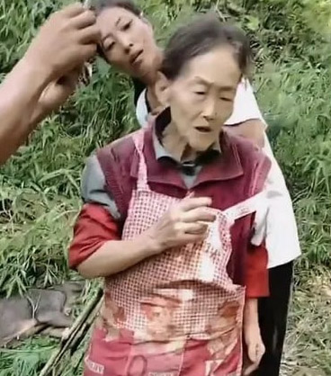 A 77-year-old hero gran fought off a wild boar with a sickle, killing the animal in self-defense on a mountain in China. Despite injuries, she emerged victorious and unscathed.