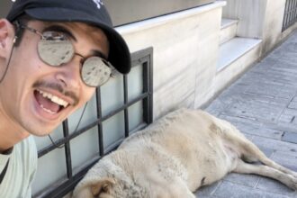 Travel influencer Josef Who goes viral after sharing a hilarious encounter with "The Boulder," a grumpy dog turned five-star attraction in Istanbul, capturing the internet's heart with over 1.3 million views.