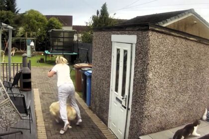 A Ring doorbell captured the moment a playful Golden Retriever puppy knocked his grandmother to the ground while chasing a ball, leaving her unharmed but in hysterics.