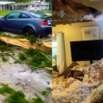 A man shares the terrifying moment a lightning bolt struck a tree, causing it to crash into his home and collapse the ceiling, leaving his Sarasota home uninhabitable.