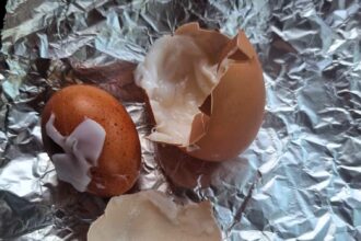 Man shocked to find a second fully-formed egg inside his boiled egg. The rare 'egg-ception' phenomenon goes viral, gaining 57,000 likes and sparking fascination online.