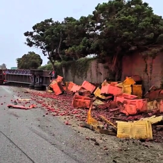 A lorry crash on Highway 101 near LA spills red peppers across the road and unleashes a swarm of bees. A local expert safely rescues the bees, no injuries reported.