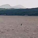 Beach walker films Nessie-like sea creature off Donegal coast, sparking comparisons to Irish folklore's Oilliphéist. Could this be a modern-day sea monster sighting?