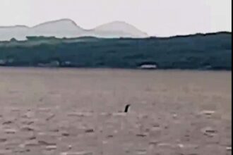 Beach walker films Nessie-like sea creature off Donegal coast, sparking comparisons to Irish folklore's Oilliphéist. Could this be a modern-day sea monster sighting?