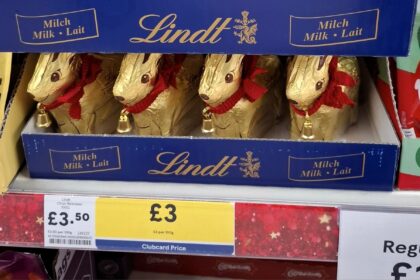 Shoppers debate Christmas treats as savvy buyers find supermarket own-brand ginger biscuits for under 60p, while many stick to Lindt chocolate for festive indulgence.