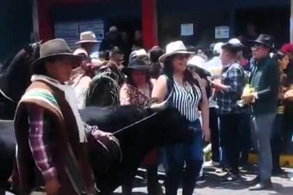 A tourist was gored by a bull while posing for a photo at a festival in Ecuador. She suffered an arm injury and was taken to the hospital. No further updates on her condition.