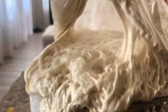 Texas baker Mary Reynolds' 'alive' sourdough starter shocks the internet, racking up 8.5M views. Discover her bizarre baking journey and the art of lively sourdough!