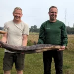 Beach cleaners in Denmark discovered a surprising fossil—a humpback whale's penis—believed to belong to a whale that washed up earlier this year. Now under research.