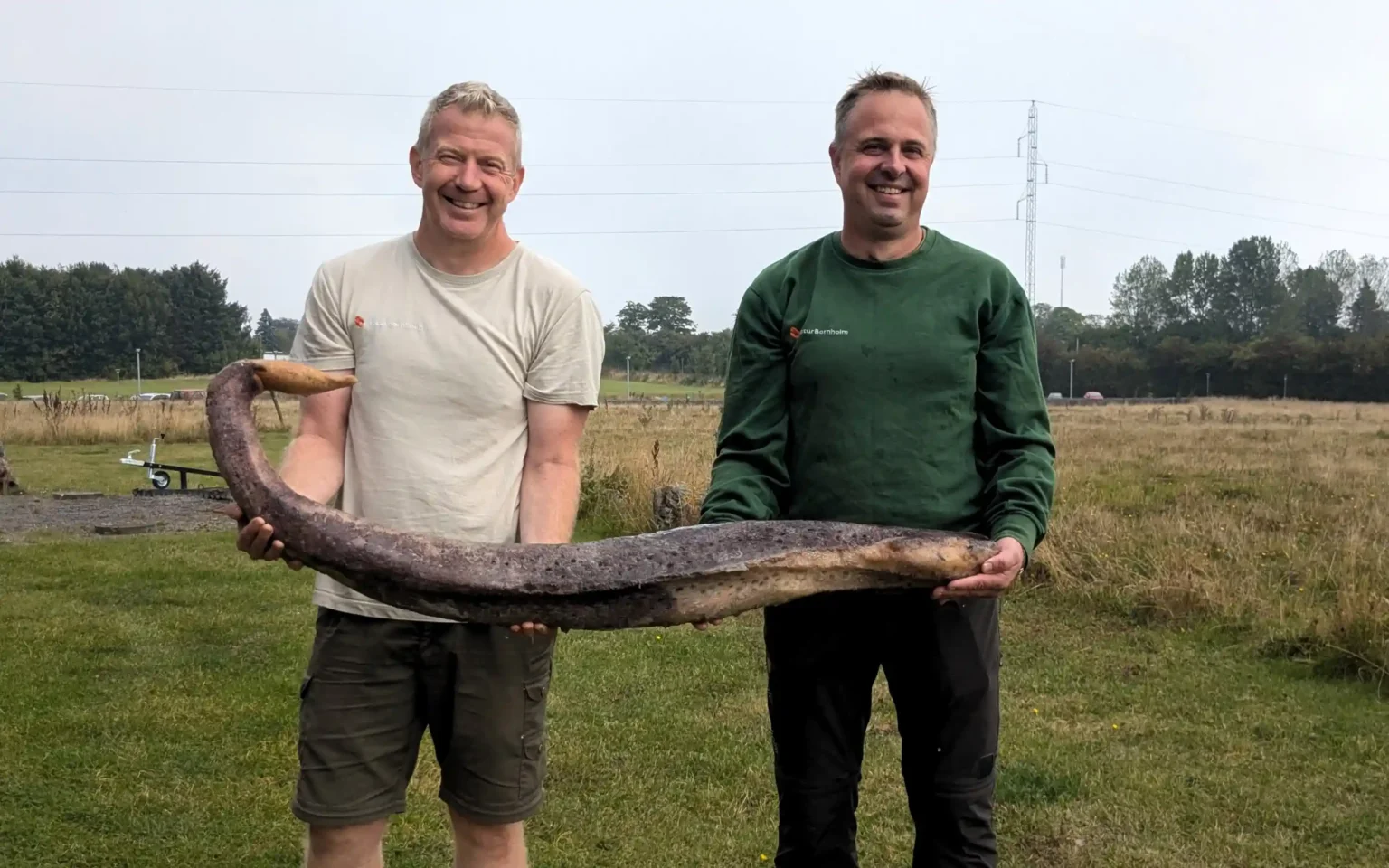 Beach cleaners in Denmark discovered a surprising fossil—a humpback whale's penis—believed to belong to a whale that washed up earlier this year. Now under research.