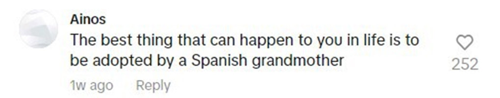 Social media comment on the post of A Brit backpacker, walking across Spain, charms locals by seeking adoption from Spanish grandmothers, praising their warmth and kindness along the way.