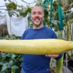 Britain's giant veg king, Kevin Fortey, holds 11 world records, including the tallest cucumber and longest aubergine. His giant veggie-growing skills inspire gardeners worldwide.