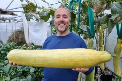 Britain's giant veg king, Kevin Fortey, holds 11 world records, including the tallest cucumber and longest aubergine. His giant veggie-growing skills inspire gardeners worldwide.