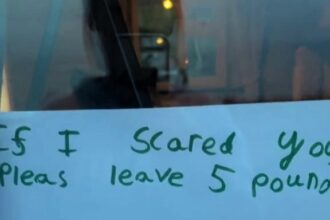 Cheeky 8-year-old Jasper leaves a sign asking for £5 from those spooked by his Halloween decorations—and it worked! His crafty idea has TikTok in stitches.