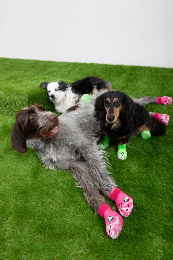 Crocs are launching Pet Crocs on October 23, 2024, featuring glow-in-the-dark designs for dogs. Fans can customize them with Jibbitz, available for a limited time at £44.99.