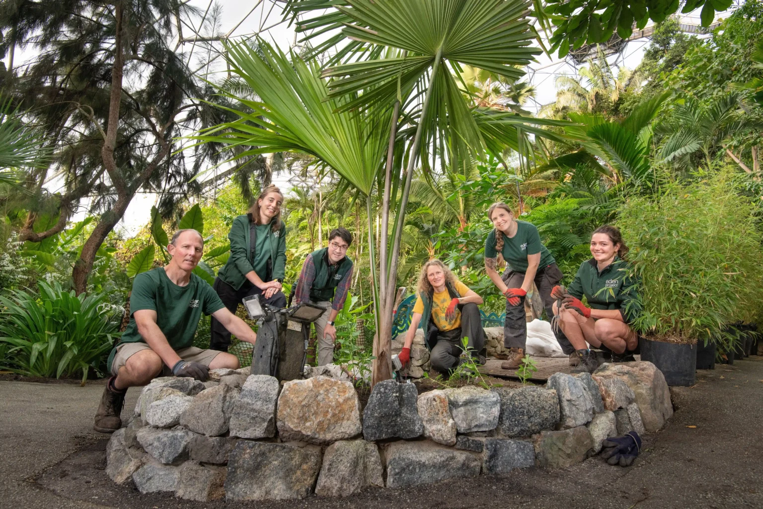 A rare and critically endangered Tahina spectabilis palm, capable of growing up to 18 meters tall, has been planted at the Eden Project, Cornwall, where it could one day be visible via satellite.