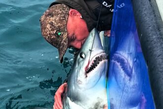 Fisherman kisses a 250lb porbeagle shark, a cousin of the Great White, during a record-breaking angling trip off the British coast, catching 17 sharks in two days.