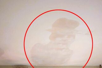 A woman was shocked to find a watermark resembling Freddy Krueger on her ceiling, leaving her and friends spooked. See the creepy outline that resembles the horror icon.