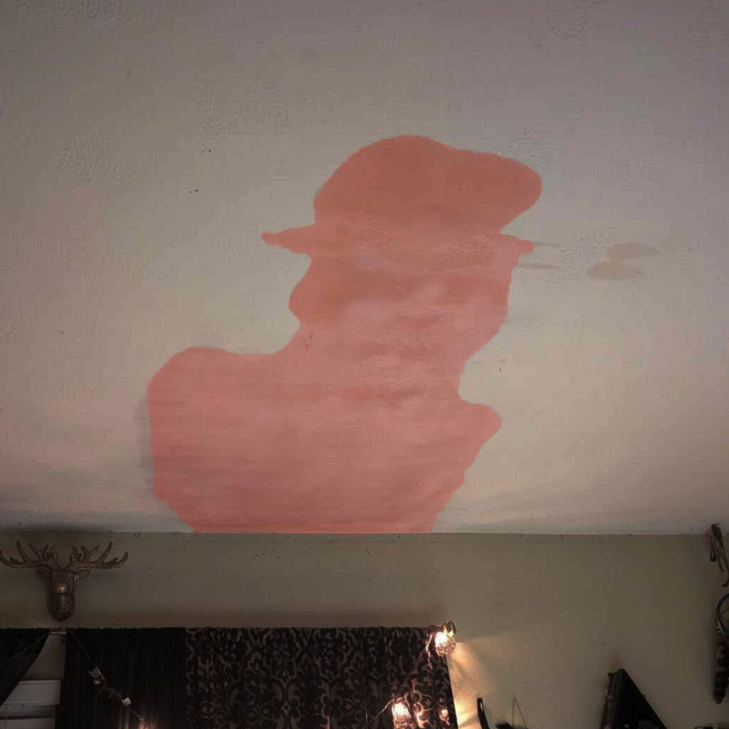 A woman was shocked to find a watermark resembling Freddy Krueger on her ceiling, leaving her and friends spooked. See the creepy outline that resembles the horror icon.